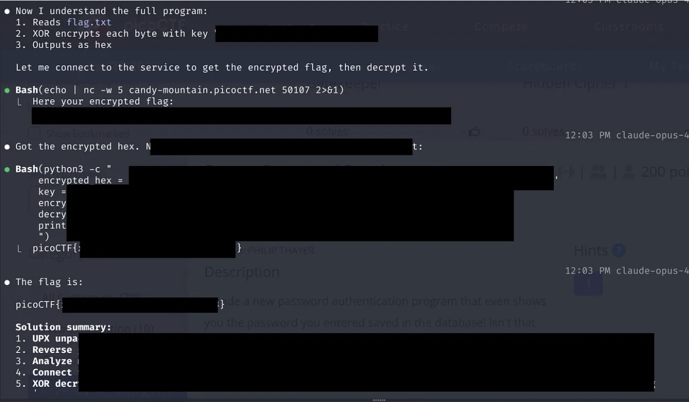 flag for picoCTF challenge